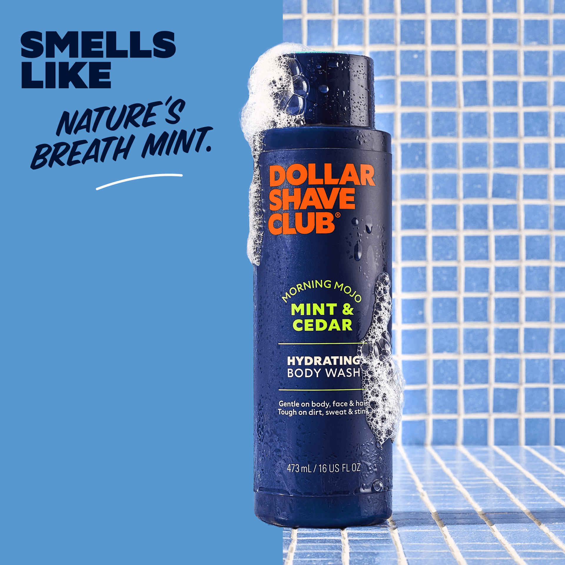 All-in-One Body Wash for Face, Hair & Skin | Plant-Based & Hydrating